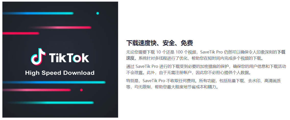 Tiktok下载站！免费且好用，支持单个或者是批量下载所有 TikTok 视频，免安装在线使用