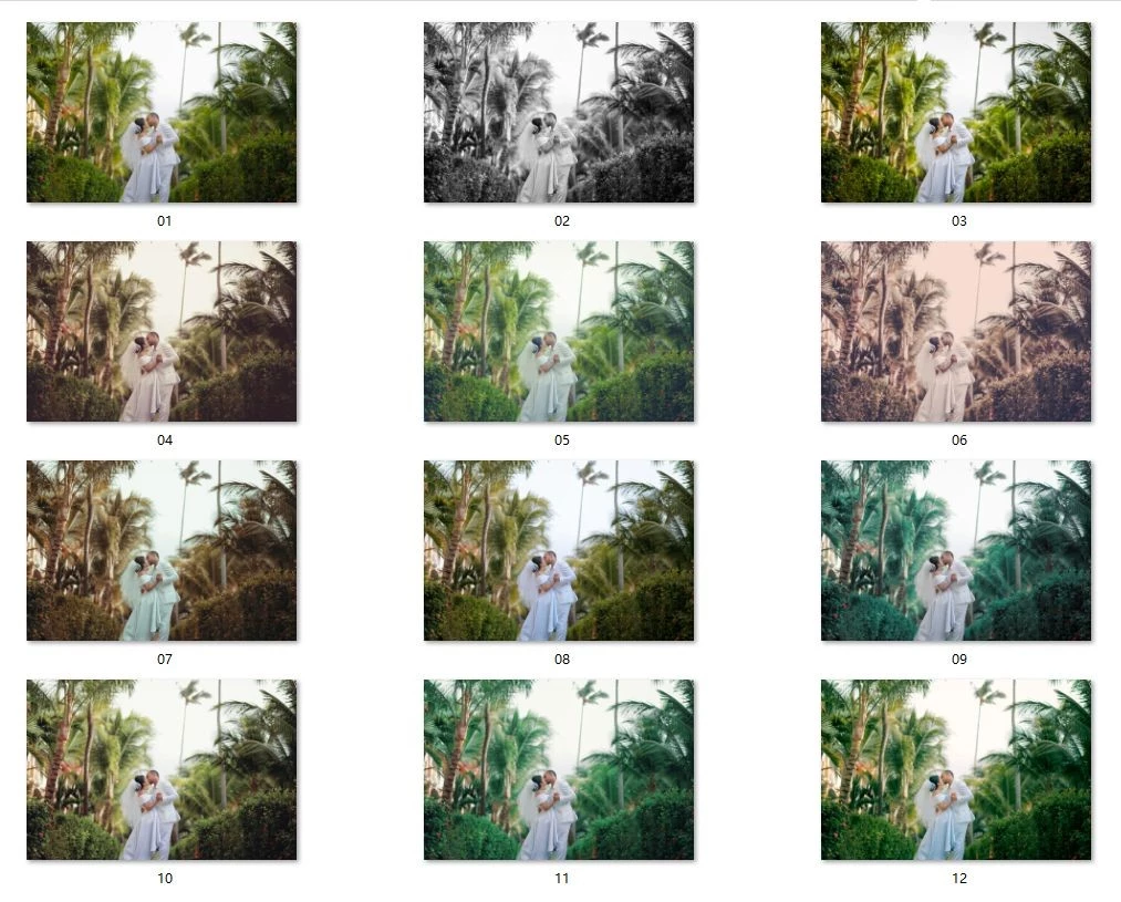 支持PS15-24最版本软件，黑作坊调色拓展免费，一键调色秒制作出大片效果