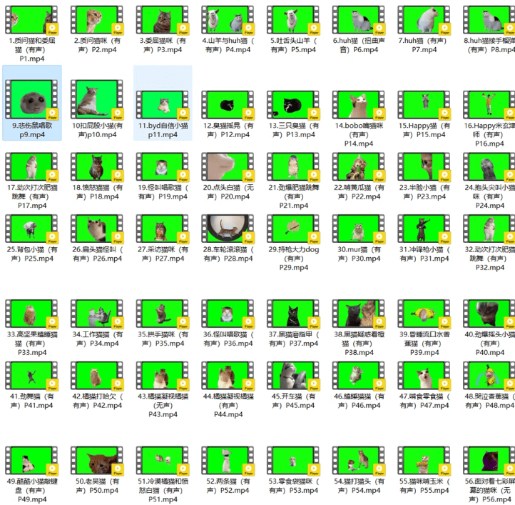 UP主必备！B站某音热门绿幕视频素材，180套猫猫meme动态绿幕合集包，含背景图BGM，含使用教程