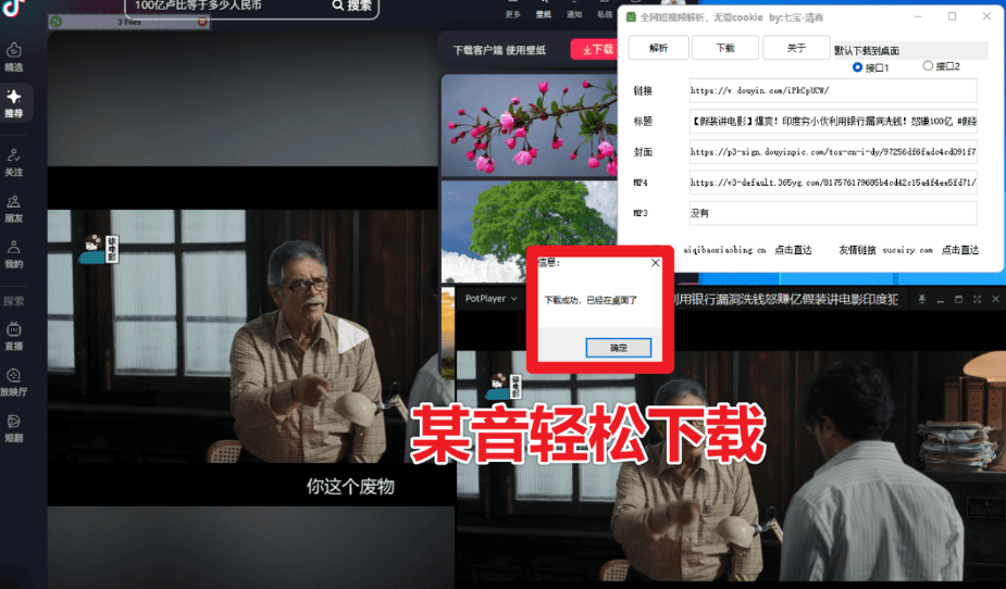 【已更新】2025最新全网短视频无水印解析工具！支持各大平台，完全免费，体积仅1M大小，支持抖快B红等主流平台