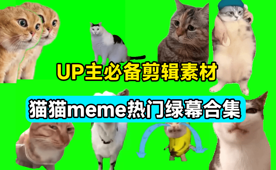 UP主必备！B站某音热门绿幕视频素材，180套猫猫meme动态绿幕合集包，含背景图BGM，含使用教程-爱资源