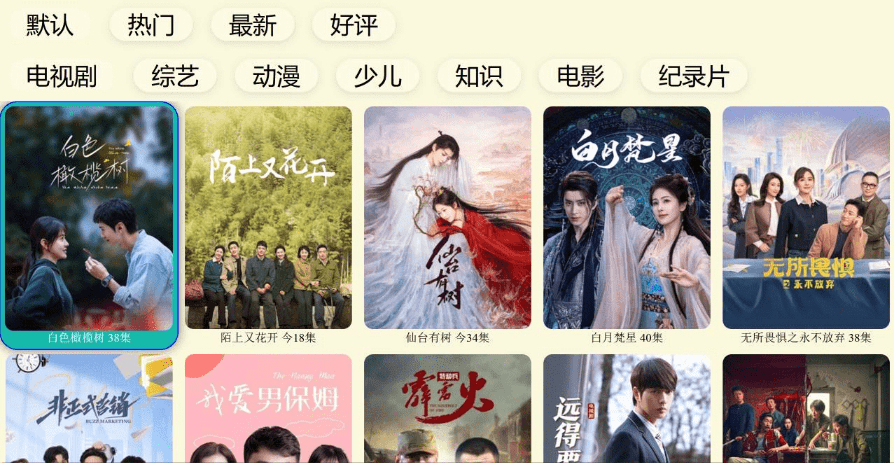 免费开源专业电视端TV浏览器！可观看CCTV及各大卫视，无需VIP，且支持访问主流视频平台 油桃TV