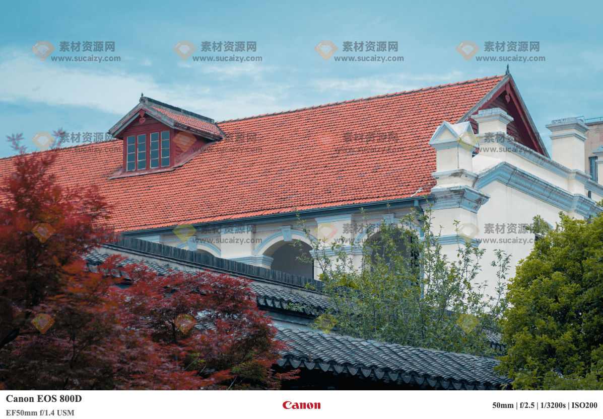 免费开源的相机水印软件，给相机一键添加水印，纯本地运行，完全免费！