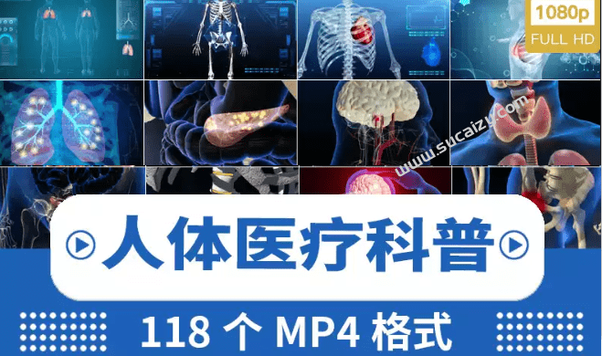 付费购买视频素材！医疗3D演示展示高清动画素材，骨骼人体医学局部动画演示视频，118款高清画质-爱资源