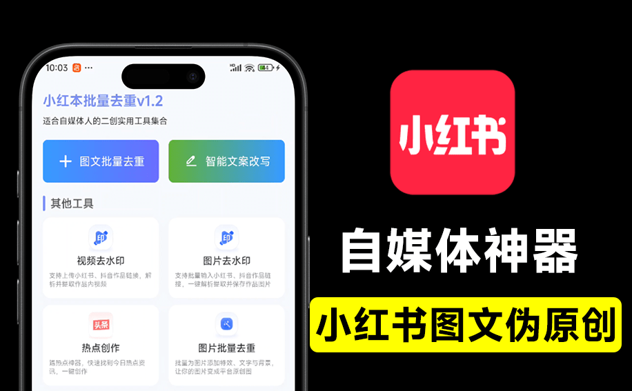 小红本图片/文案批量改写，Ai伪原创工具！ 无登录、无广告、打开即用，自媒体工具-爱资源