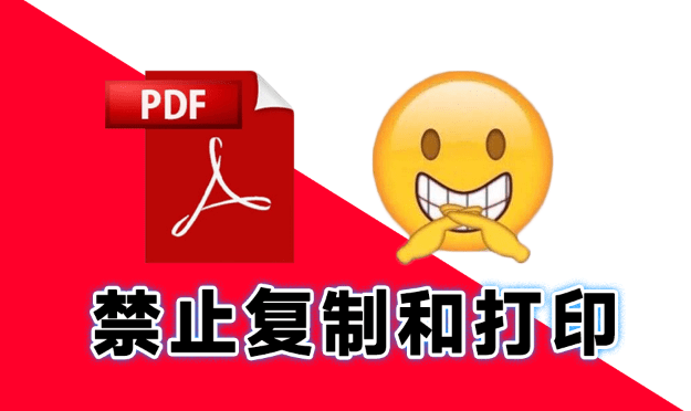 轻松保护PDF文档隐私！支持PDF禁止打印、复制、转换、编辑操作，完全免费使用 PDF Anti-Copy Pro-爱资源