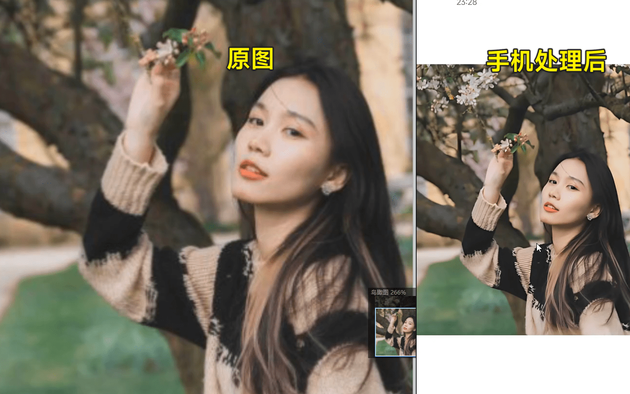 图片放大画质增强工具！开源免费手机无损放大修复图片，最高支持x16倍，效果惊艳 Super Image