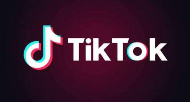 Tiktok下载站！免费且好用，支持单个或者是批量下载所有 TikTok 视频，免安装在线使用-爱资源