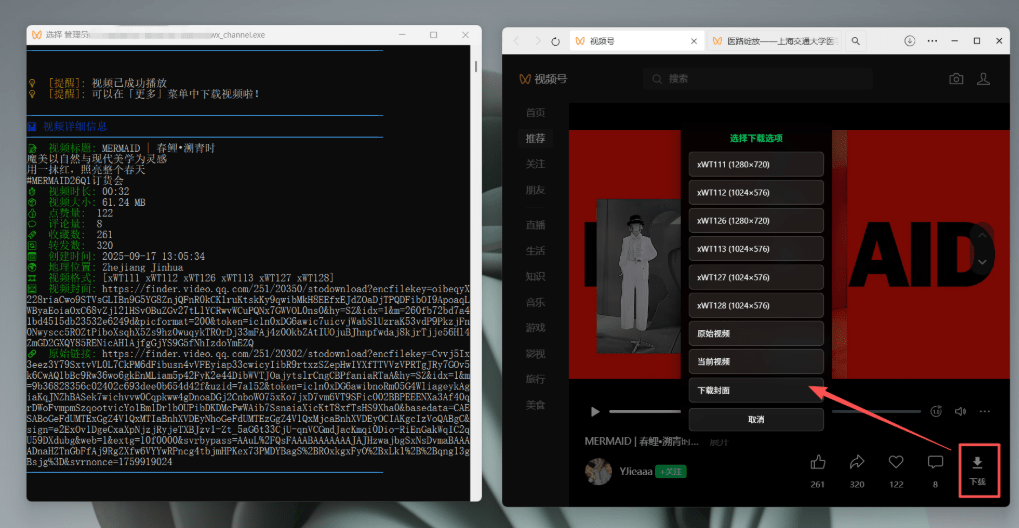 Github热门工具，视频号下载神器又来了！界面美观，效果更强大，支持智能识别分类，使用便捷 wx_channel
