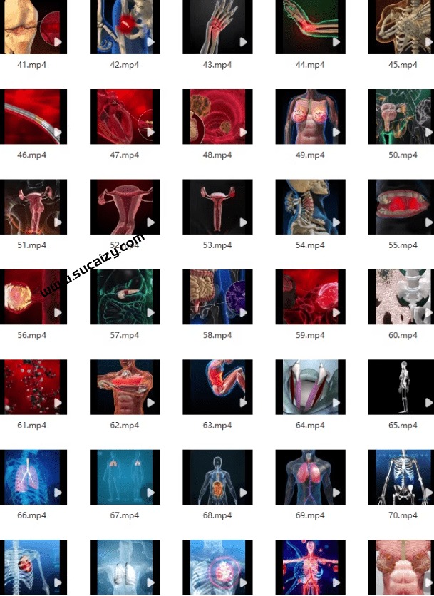 付费购买视频素材！医疗3D演示展示高清动画素材，骨骼人体医学局部动画演示视频，118款高清画质