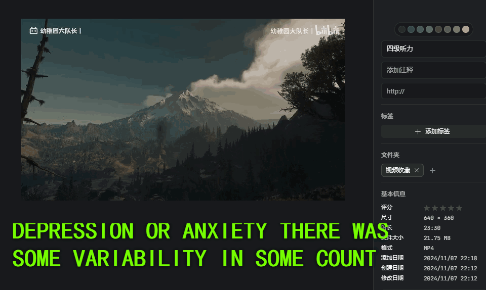飞书的付费功能！它也可以实现，Ai再来神器，AI实时语音字幕生成软件，本地运行 TMSpeech