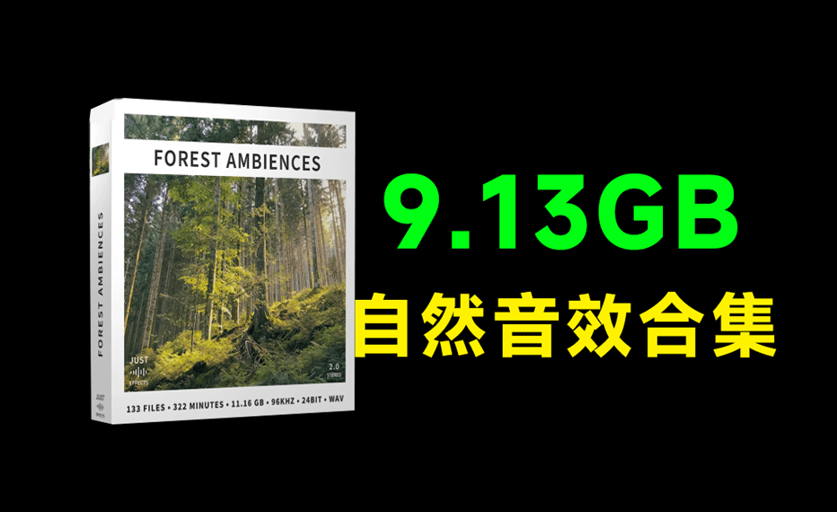 超9.13GB！顶级自然环境音效合集，含鸟类的鸣叫和风声、树声等，133个纯净的自然森林环境音效素材-爱资源
