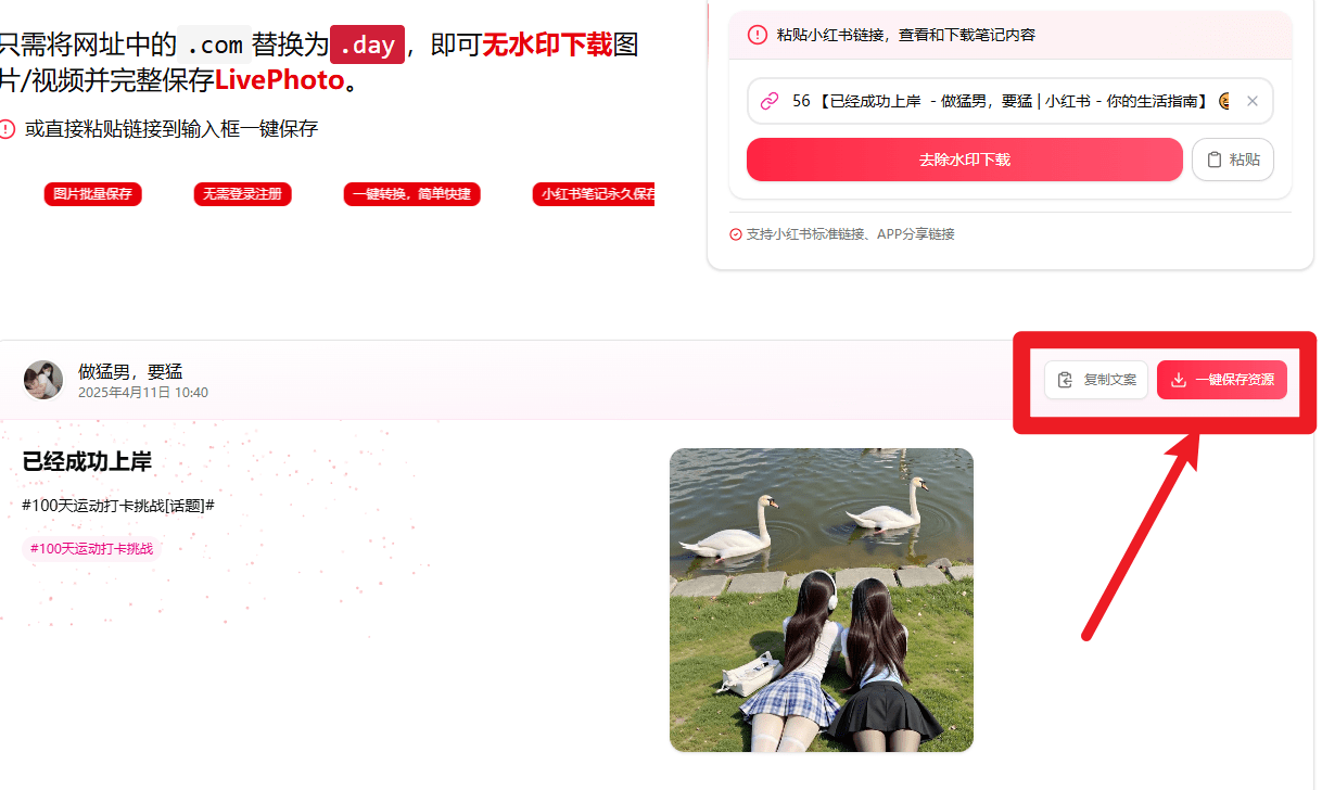 在线小红书笔记解析下载网站！支持视频图片LivePhoto无水印一键保持，使用简单，且完全免费