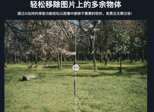 黑科技网站推荐，建议收藏！全能Ai图片编辑工具，一键抠图、变清晰、上色等，完全免费 Remove.photos