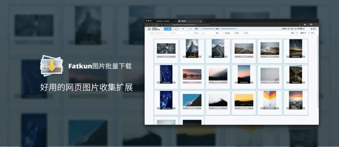 穿透浏览器限制，支持批量下载网页图片，完全免费，支持各大网页图片站，这也太好用了！