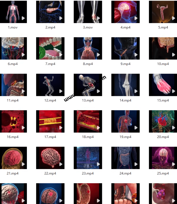 付费购买视频素材！医疗3D演示展示高清动画素材，骨骼人体医学局部动画演示视频，118款高清画质