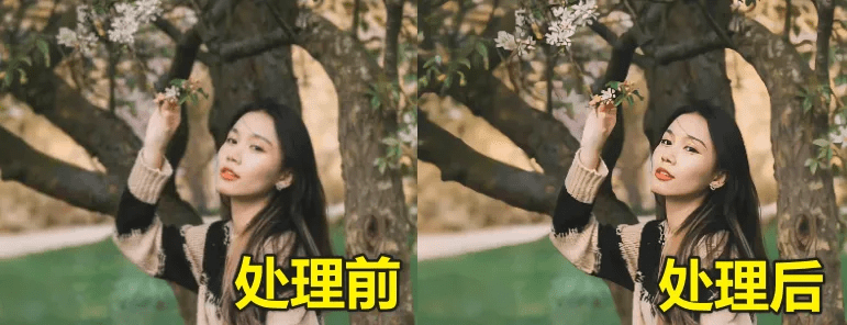 电脑模型装手机上运行？这Ai工具还能这么玩！手机图片无损放大工具，RealSR放大图片