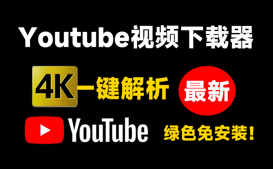 Youtube最新下载器！支持4K画质解析，使用简单，粘贴即可一键下载，无广告免登陆使用 DLNow Video Downloader-爱资源