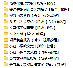爆火Deepseek热门Ai相关内容合集！含Ai工具和Ai指令集和Deepseek使用手册，某宝购入内容