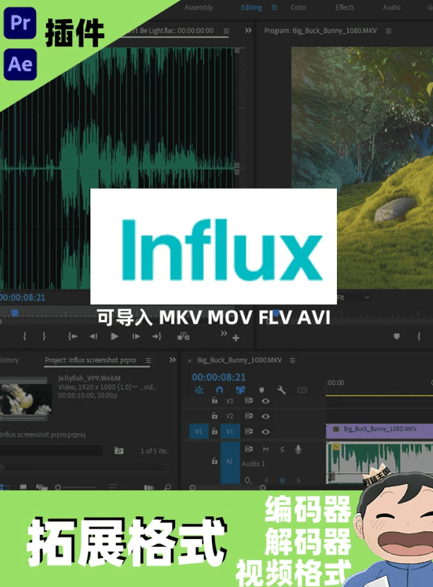剪辑软件增强插件！导入MKV/MOV多种格式编码工具，这也太顶了吧 Influx v1.4.2 Win/Mac-爱资源