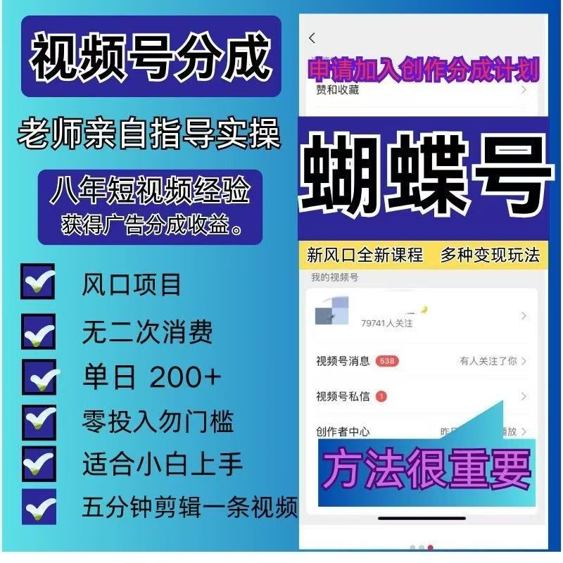 视频号创作蝴蝶带货广告分成原创混剪辑零基础起号运营全套课程-爱资源