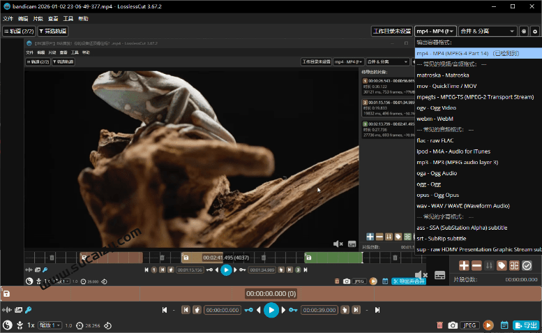 音视频无损切割剪辑神器！3s不到切割10G视频，速度快到离谱，免费且开源，LosslessCut无损剪切