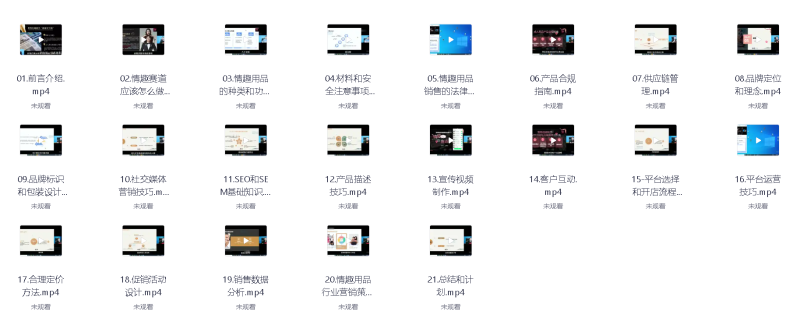 2025最新成人用品蓝海赛道渠道引流视频教程玥入5W